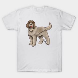 Dog - Spinone Italiano - Red and Tan T-Shirt